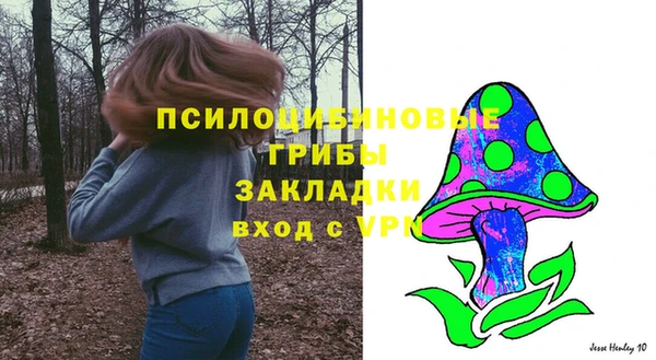 героин Вяземский