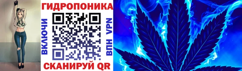 blacksprut   Зима  Бошки марихуана Amnesia 